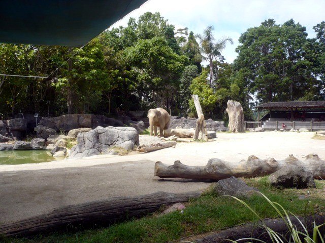 Photo 05: Elephant exhibit - Copyright © 12/2010 by Thilo Cardenas