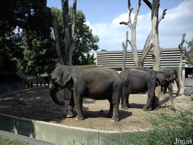 Stuttgart Zoo Germany