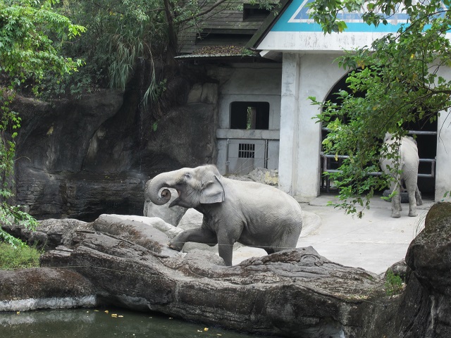 Taipei Zoo Taiwan